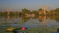 Corroboree Billabong Wetland Cruise