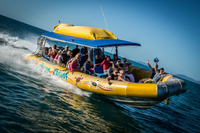 Excursion en bateau gonflable à Whitehaven Beach