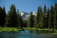 Rocky Mountain National Park Day Trip from Denver