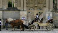 Private Tour: Versailles Horse and Carriage Ride