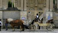 Tour privado: Versalles paseo en coche de caballos Tour privado: Versalles paseo en coche de caballos