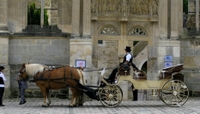 Visite privée: Versailles en calèche