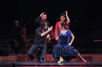 Représentation d'Opéra et de Flamenco au Teatre Poliorama ous fille au Palau de la Musica Catalana de Barcelone