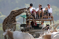 Entrée et excursion en jeep à Safari West à Sonoma