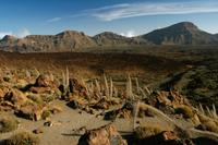 Excursion à terre: visite privée du Parc national du Teide et des vignobles with déjeuner