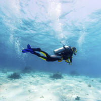 Small-Group Muscat Scuba Diving for Certified Divers