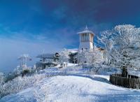 2-Day Yongpyong Ski Resort Tour from Seoul