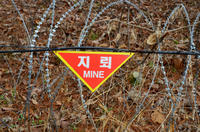 Joint Security Area (JSA) Tour: Get Close to the North Korean Border