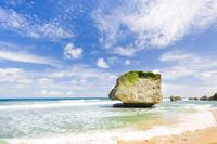 Visite panoramique de la Barbade, incluant Bathsheba Sunbury Plantation image 1 Visite panoramique de la Barbade, incluant Bathsheba Sunbury Plantation image 1