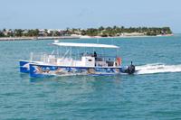 Key West Shark and Wildlife Catamaran Tour