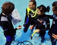 PADI Discover Scuba Diving in Freeport