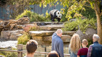Adelaide Zoo Behind the Scenes Experience: Panda and Friends Tour image 1 Adelaide Zoo Behind the Scenes Experience: Panda and Friends Tour image 1