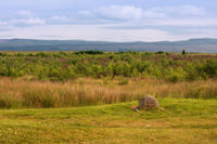 Culloden Battlefield Visitor Centre Billet d'entrée