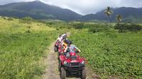 ATV Tour of St Kitts