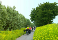Visite de la Campagne d'Amsterdam en vélo, Avec Dégustation de fromages et Découverte De La fabrication de sabots