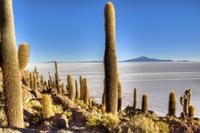 Uyuni Salt Flats Day Trip by Air from La Paz