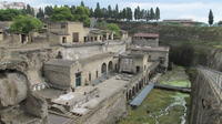 Half Day Morning Tour of Herculaneum from Sorrento