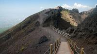 Mt Vesuvius Half-Day Tour from Sorrento