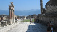 Pompeii and Herculaneum Full Day Tour from Sorrento