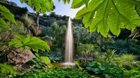 Semi-Independent Ischia Coach Tour with Visit to La Mortella Botanic Gardens from Sorrento