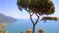 Small-group tour of Amalfi Coast Tour from Sorrento Including Lunch