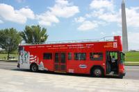 Circuit en bus à Arrêts multiples à Washington DC: monuments, les sites marquants et mémoriaux