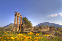 Visite privée: excursion d'Une journée à Delphes, au départ d'Athènes, déjeuner inclus