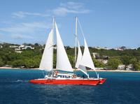 Croisière en catamaran à la Barbade et snorkeling image 1 Croisière en catamaran à la Barbade et snorkeling image 1