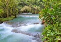 Excursion sur la côte de Montego Bay: les chutes de Dunn