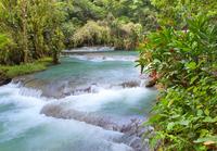 Montego Bay Shore Excursion: Dunn's River Falls 