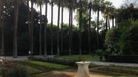 Athènes Mythologie Jeux et National Garden Private Tour