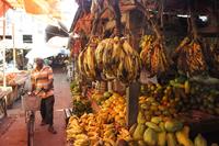 Experience Handmade Zanzibar: Market and Workshops Tour