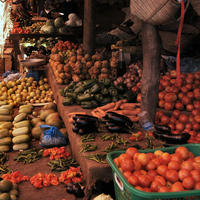 Tanzanie Village Coffee and Tour Communauté d'Arusha Y compris Déjeuner avec un local