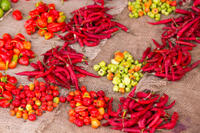 Zanzibar Food and Spices Visite compris traditionnelle Swahili Déjeuner