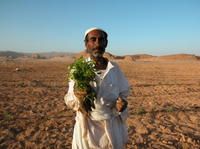 Egyptian Farming Full-Day Experience from Sharm el Sheikh