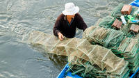 Full day Farming and Fishing tour from Hoi An City