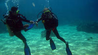 Full-day Scuba Diving at Cham Island from Hoi An