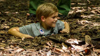 Half Day Cu Chi Tunnels Tour from Ho Chi Minh