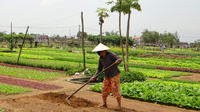 Half-Day Farming Experience from Hoi An