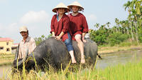 Half-Day Rice Paddy Experience from Hoi An