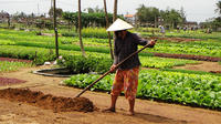 Tra Que and Rice Paddy Day Trip from Da Nang