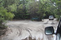 2-Day Fraser Island 4WD Tag-Along Tour from Hervey Bay