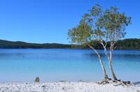 Small-Group Fraser Island 4WD Tour from Hervey Bay Including Indian Head and Champagne Pools