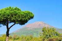 Mt Vesuvius Tour from Sorrento