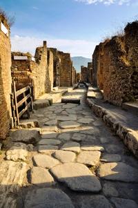 Pompeii and Wine Tasting Experience from Sorrento