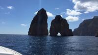 Private Tour: Capri Day Cruise from Sorrento