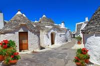 Visite privée: Trulli d'Alberobello with dégustation de vin
