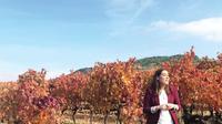 Rioja and Navarra Wineries Tour from San Sebastian 