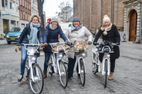 Excursión en bicicleta por la ciudad de Copenhague