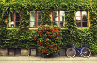 Visite privée: Visite en vélo de la ville de Copenhague